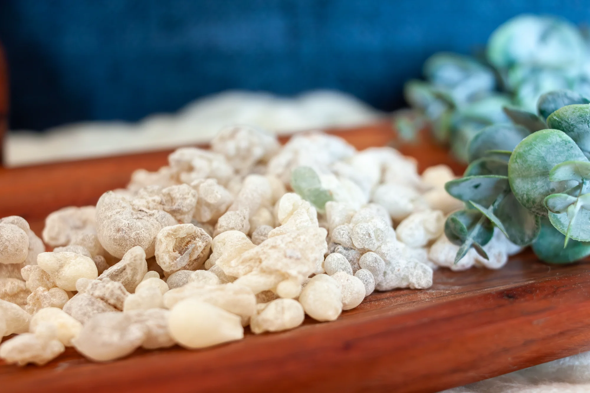 Premium Hojari frankincense resin tears